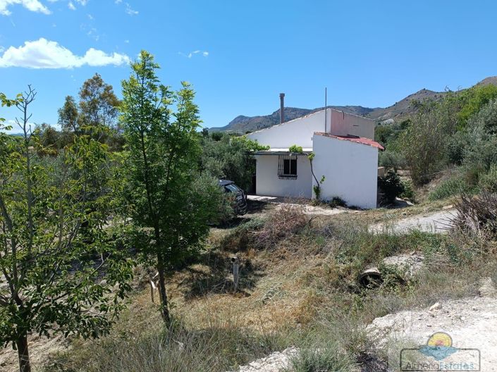 Image No.3-2 Bed Villa for sale