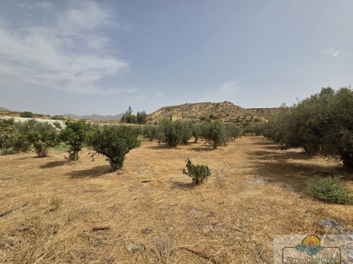 Image No.2-2 Bed Property for sale