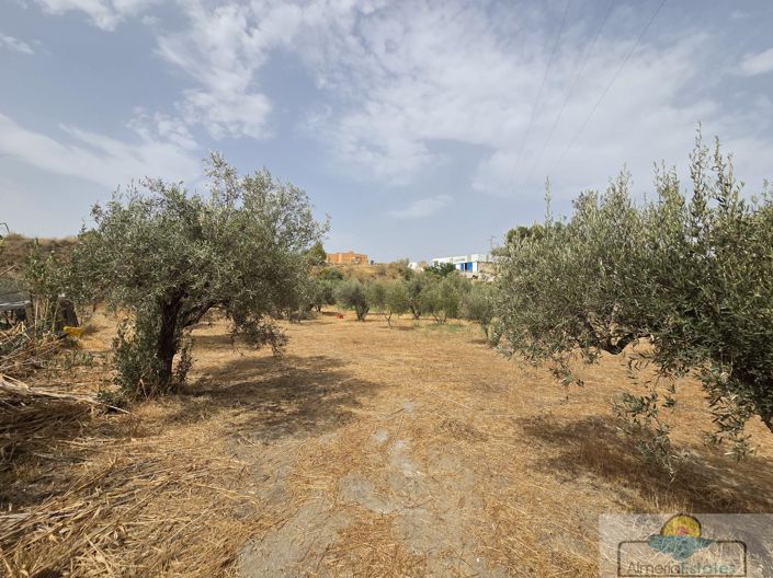 Image No.5-2 Bed Property for sale