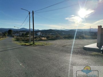2131foto305159