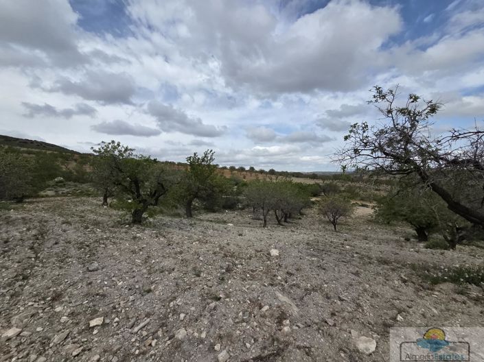 Image No.10-Land for sale
