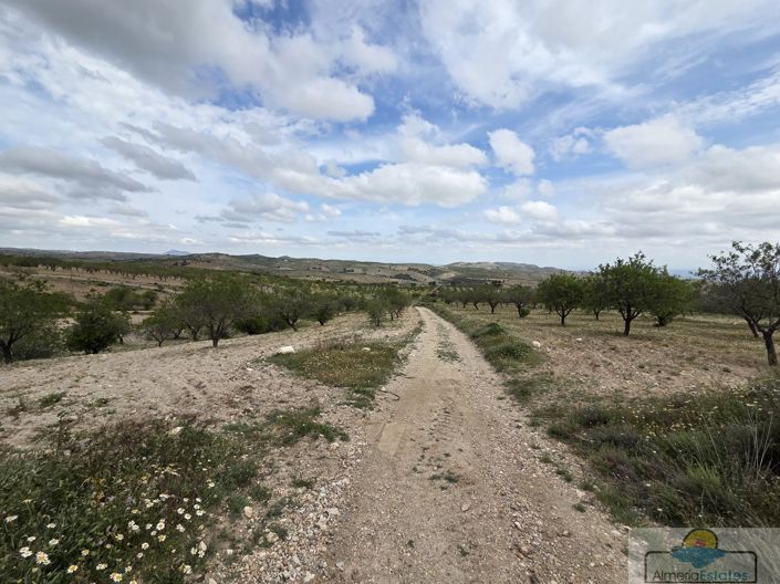 Image No.12-Land for sale