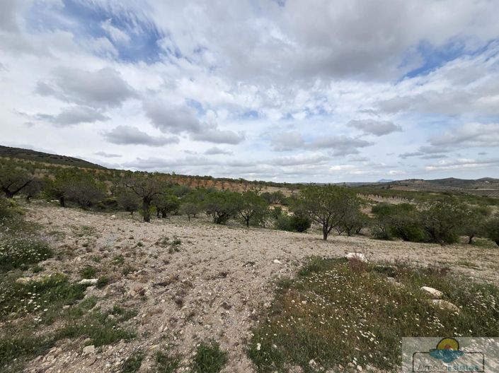 Image No.14-Land for sale