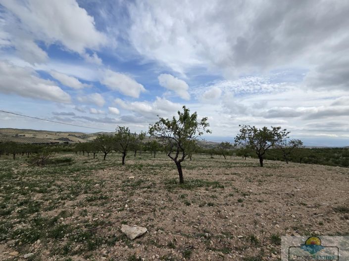 Image No.2-Land for sale