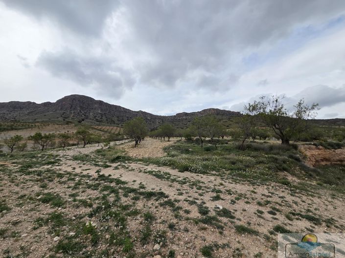 Image No.3-Land for sale