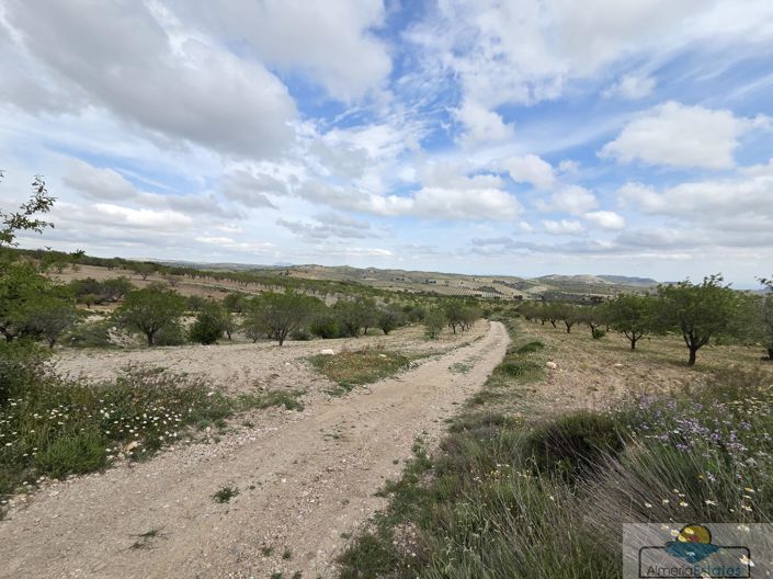 Image No.6-Land for sale