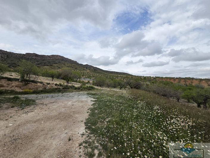 Image No.7-Land for sale