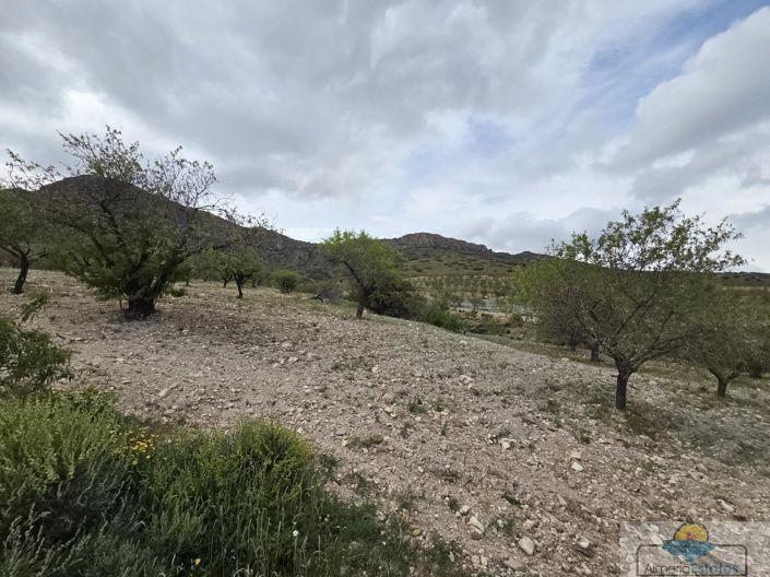 Image No.8-Land for sale