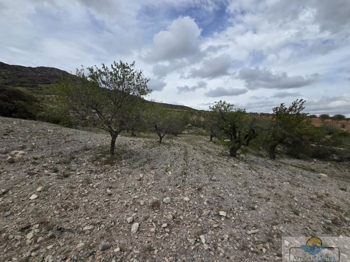 Image No.9-Land for sale