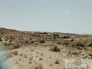 1978foto938887