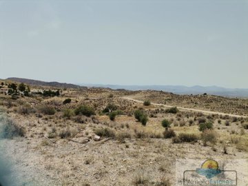 1978foto073734