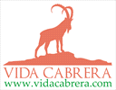 Vida Cabrera