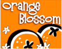 Orange Blossom Homes 
