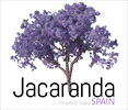 Jacaranda Spain