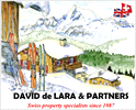 David de Lara & Partners